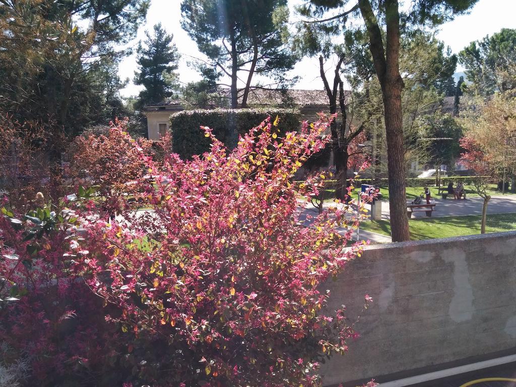 Hotel Abruzzi Teramo Εξωτερικό φωτογραφία